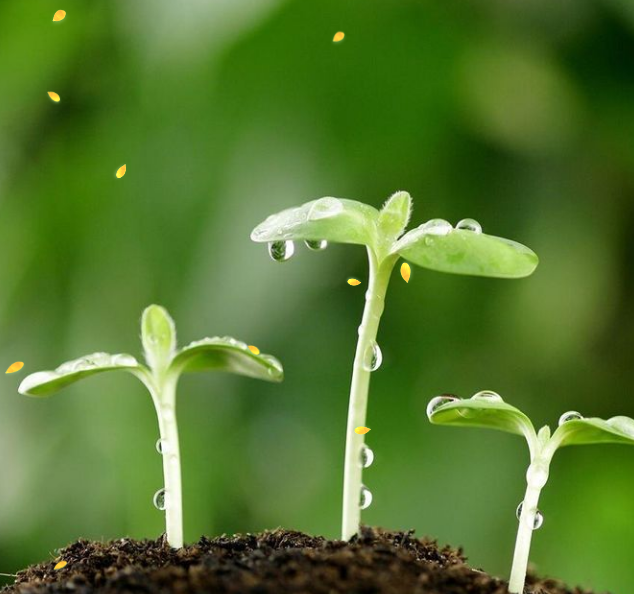 八年级“读书月”亲子朗读活动作品（三）(图1)