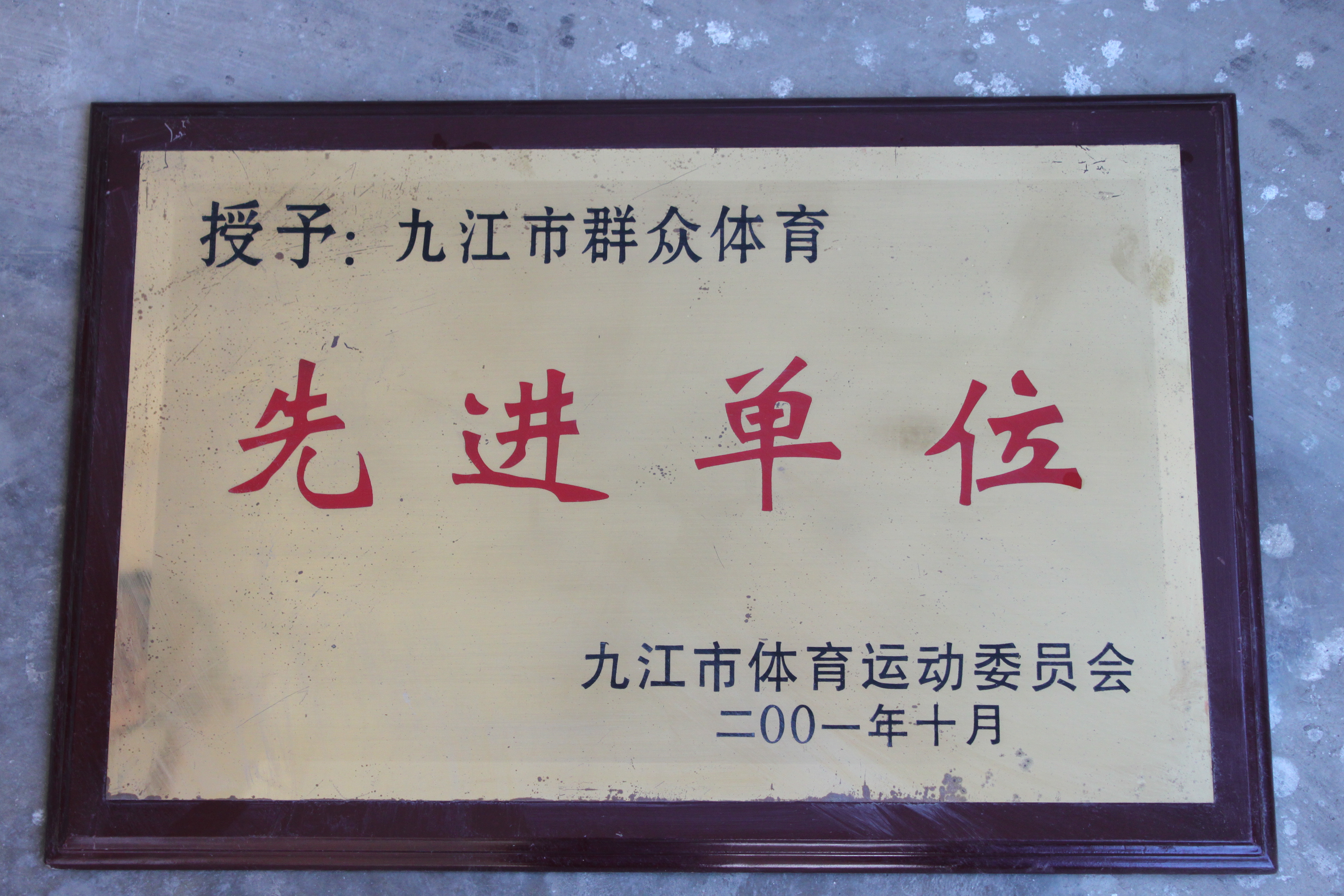 荣誉墙（部分）(图34)